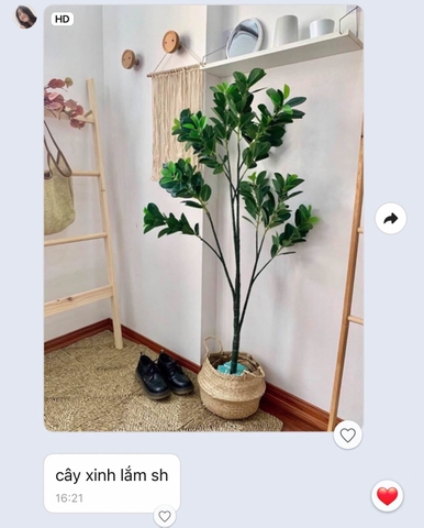 Cây lá tiền trang trí không gian hiện đại xanh mát Lan Decor (135cm) - LC5581