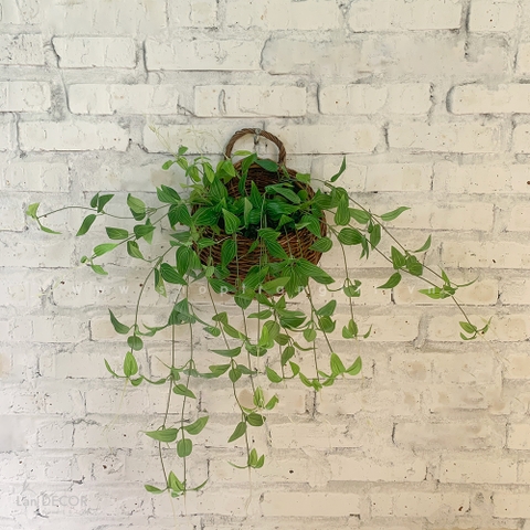 Giỏ kim ngân treo tường trang trí Landecor - CC387
