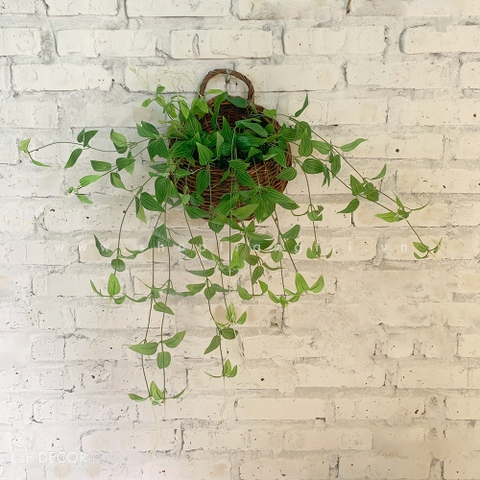Giỏ kim ngân treo tường trang trí Landecor - CC387