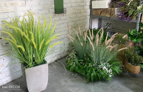 Bồn tiểu cảnh cỏ đuôi chồn Landecor trang trí nhà đẹp - BC070