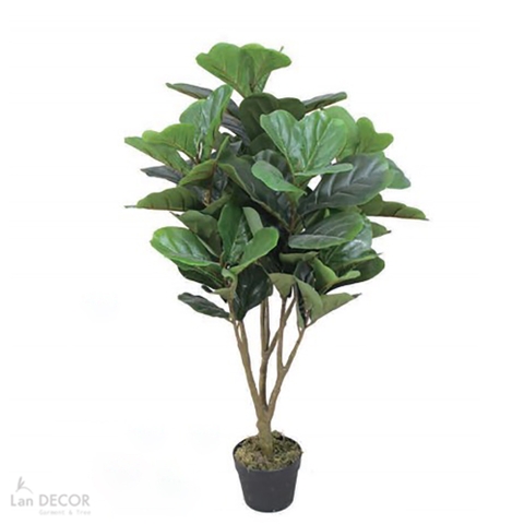 Cây bàng Singapore trang trí nội thất Landecor ( 105cm) - LC3170
