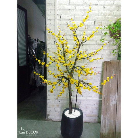 Cây mai vàng trang trí Landecor (170cm)- CC399