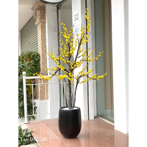 Cây mai vàng trang trí Landecor (170cm)- CC399