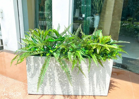 BỒN CÂY TIỂU CẢNH DECOR NHÀ ĐẸP- CC525