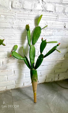 CHẬU CÂY XƯƠNG RỒNG TAI THỎ TRANG TRÍ ĐẸP LAN DECOR (95cm) - HC1050