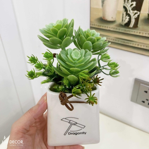 CHẬU SEN ĐÁ HÌNH TÚI DECOR NHÀ ĐẸP- CC728