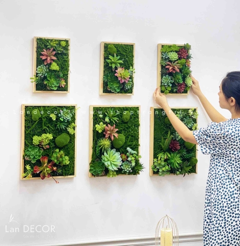 TỔNG HỢP CÁC MẪU KHUNG TRANH CÂY, SEN ĐÁ TREO TƯỜNG ĐỘC ĐÁO, TỰ NHIÊN