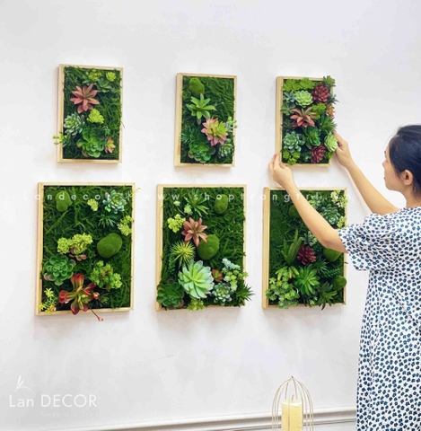 BỘ KHUNG TRANH RÊU SEN ĐÁ TREO TƯỜNG DECOR ĐỘC ĐÁO, SANG TRỌNG- BKTR01