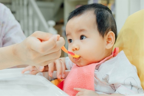 Thực phẩm cần cho bé ăn dặm 6 tháng