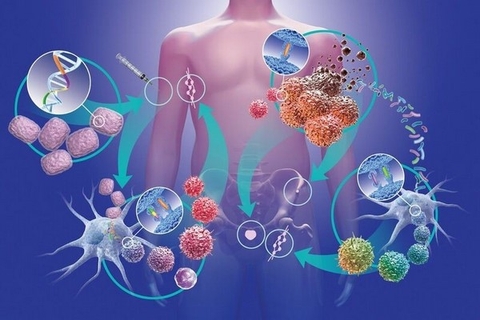 Tìm hiểu các tác dụng của vitamin B2 với sức khỏe