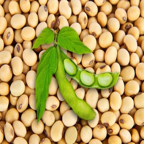 Top các thực phẩm giàu omega 3 nên ăn thường xuyên