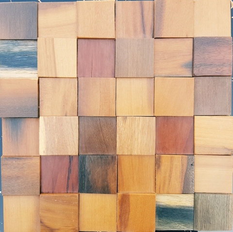 TẤM ỐP TƯỜNG ET29-05