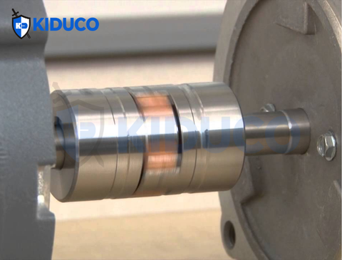 Khớp Nối Rotex Là Gì? Mua Khớp Nối Rotex Chính Hãng Tại Kiên Dũng