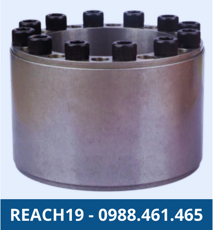 Khớp Khóa Trục REACH19