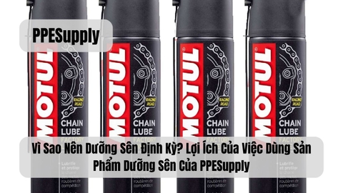 Vì Sao Nên Dưỡng Sên Định Kỳ? Lợi Ích Của Việc Dùng Sản Phẩm Dưỡng Sên Của PPESupply