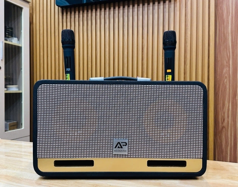 Loa karaoke xách tay AP Acoustic