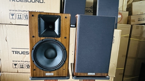 Loa karaoke TRUESOUND LA8 