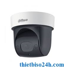 Camera IP DAHUA SD29204T-GN