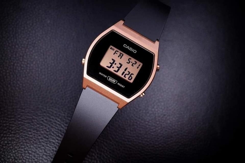 CASIO STANDARD LW-204-1ADF | LW-204-1A