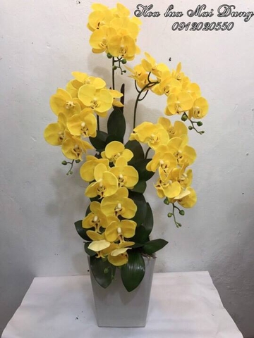 Lan hồ điệp 2