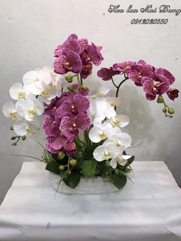 Lan hồ điệp 4
