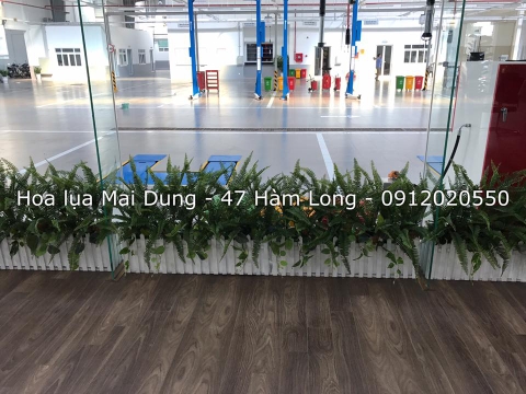 Bồn lá dương xỉ