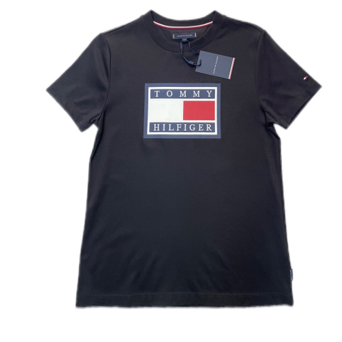 Áo Tshirt Tommy Nam CT MW0MW23938