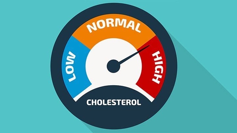 Cholesterol  Cao Liên Quan Gì đến Tim Mạch | Phòng Ngừa Cholesterol Cao