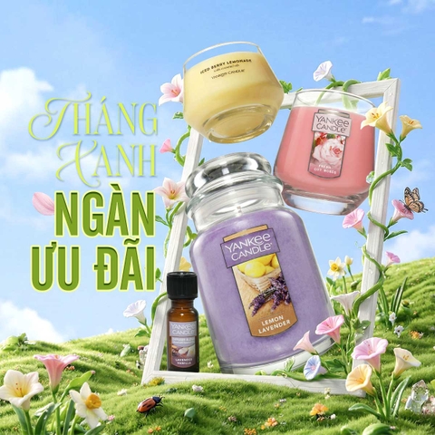 Ưu đãi hiện tại