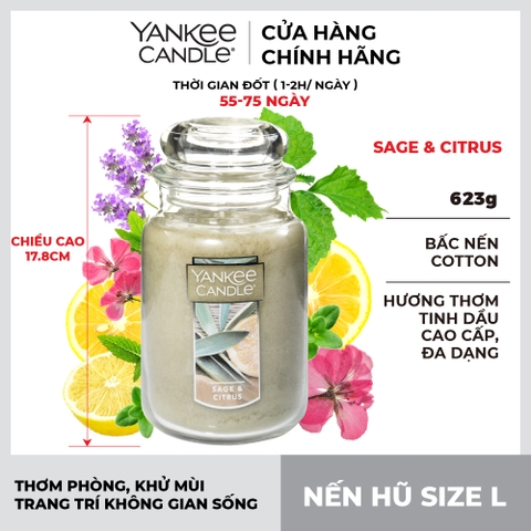 Nến thơm Yankee Candle, Nến hũ size L, Mùi Sage & Citrus
