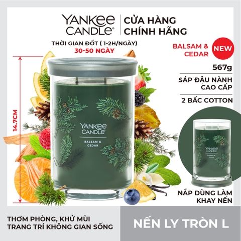 Nến thơm Yankee Candle, Nến ly tròn size L, Mùi Balsam & Cedar