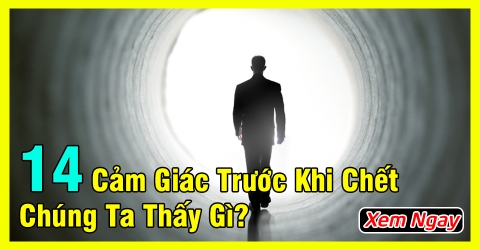 14 cảm giác trước khi 