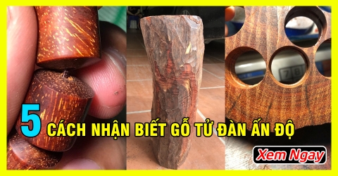 8 cách nhận biết Gỗ Tử Đàn thật giả chuẩn nhất từ chuyên gia