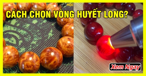 Cách chọn vòng tay gỗ Huyết Long ưng ý và chất lượng từ chuyên gia