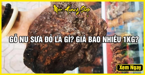 Tất tần tận về Gỗ Nu Sưa Đỏ là gì? Giá bao nhiêu?