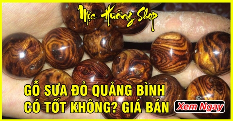 Gỗ sưa đỏ Quảng Bình có tốt không? Phân loại và Giá bán