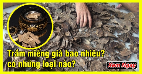 Miếng trầm hương xông nhà có mấy loại và giá bao nhiêu?