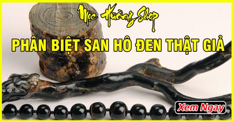 Phân biệt San hô đen thật giả - Cách sử dụng vòng san hô