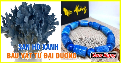 San hô xanh là gì? Tác dụng và hợp với mệnh tuổi nào?