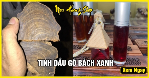 Tinh dầu gỗ Bách Xanh có tốt không? Cách nhận biết thật giả