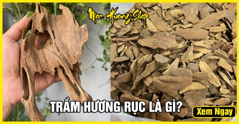 Trầm Hương Rục là gì? Phân loại, Giá bán, Cách nhận biết, Công dụng