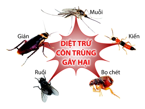 Thiết Bị Đuổi, Bắt Côn Trùng