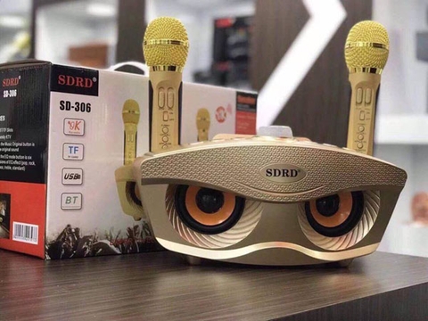 Bộ loa kèm 2 mic bluetooth SDRD SD-306