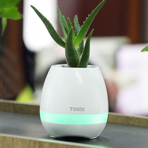 Loa bluetooth kiêm chậu trồng cây TOKQI
