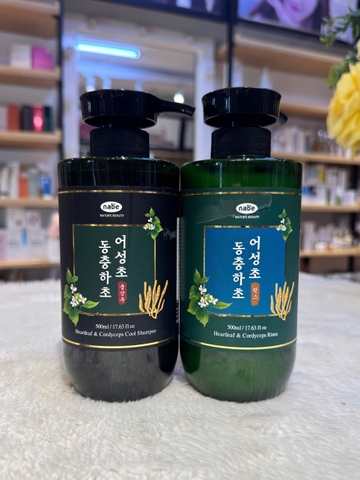 Cặp Dầu Gội Xả Đông Trùng Hạ Thảo, Phục Hồi Tóc Nature Beauty Heartleaf & Cordyceps Cool (có VAT)