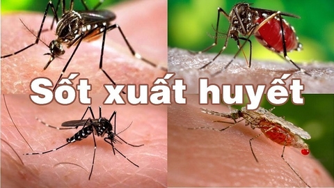 Thuốc xịt chống muỗi đốt Hanmi.