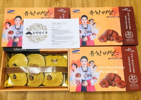 Nấm linh chi lá vàng 3 cô gái Hàn Quốc thượng hạng premium giftset special edition 6 lá