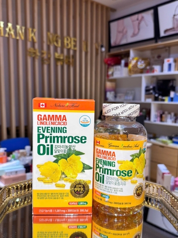 Tinh dầu hoa anh thảo Hàn Quốc Gamma Linolenic Acid Evening Primrose Oil 300 viên