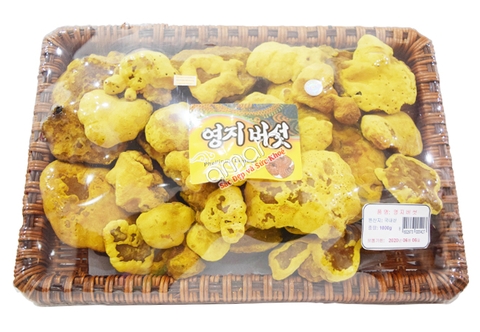Nấm thượng hoàng Hàn Quốc