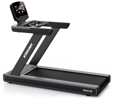 Treadmill 6830EA